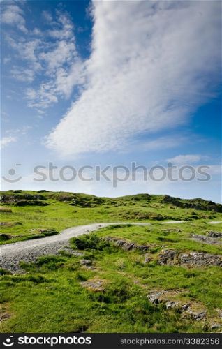 A nature trail over a meadow with a dark blue sky