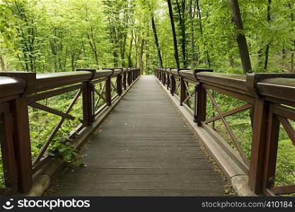 A new large wide wooden bridge in a light green old park, traversing a deep gorge. A new large wide wooden bridge in the park, crossing the gorge
