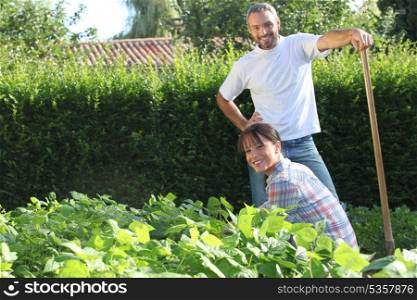 A nice couple gardening.