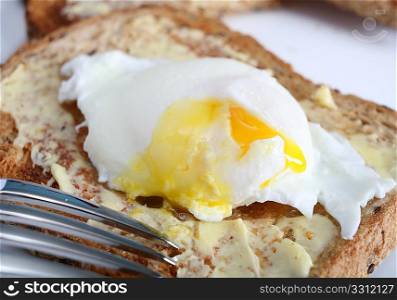A nice fresh egg, poached, on brown toast
