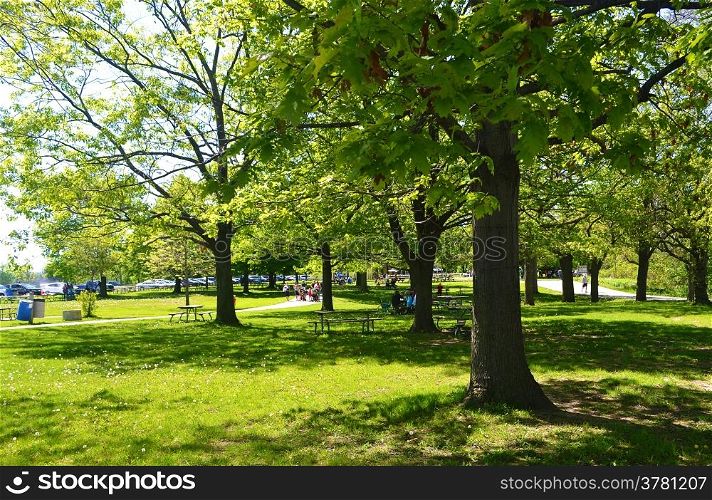 A nice sunny day in the park under big tree&rsquo;s.