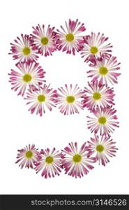 A Nine Made Of Pink And White Daisies
