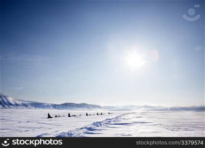 A number of dogsleds on a barren winter landscape