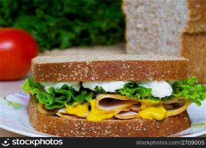 A nutritious chicken sandwich on multi-grain bread with ingredients in the background.