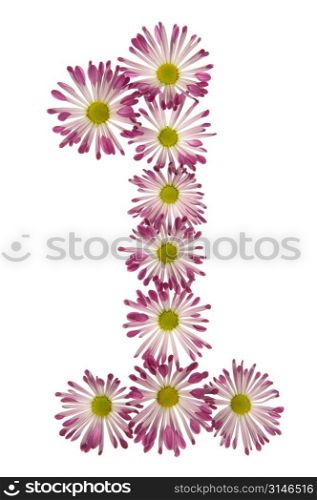 A One Made Of Pink And White Daisies