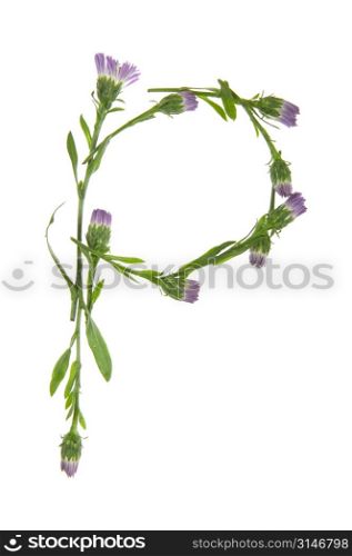 A P Made Of Purple Flowers