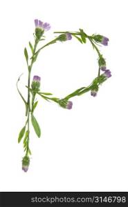 A P Made Of Purple Flowers