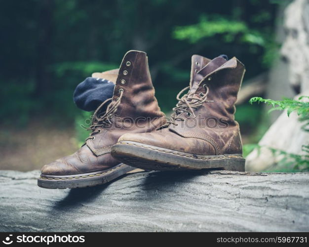 A pair of walking boots on a log in the forest