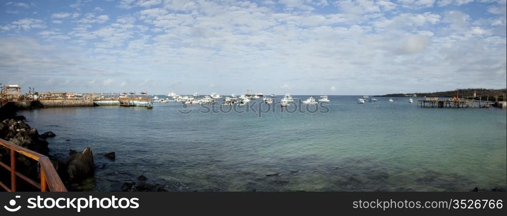 A panorama view of Puerto Baquerizo Moreno Harbor on San Cristobal Island in the Galapagos Islands of Ecuador. The port is filled with boats waiting to take visitors on tours of the islands.