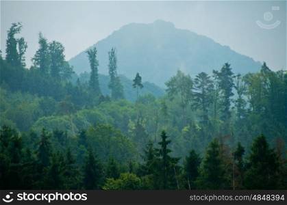a panoramic view to a hill. mountain with forest