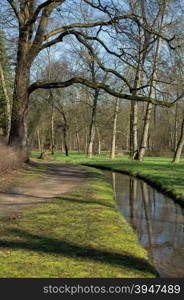 A path and a small brook in a forest