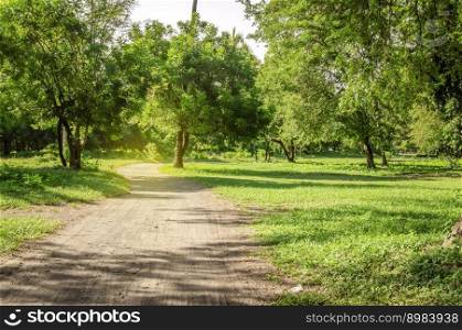 A path in a forest surrounded by trees, A beautiful path surrounded by trees in a small forest, low angle of a road