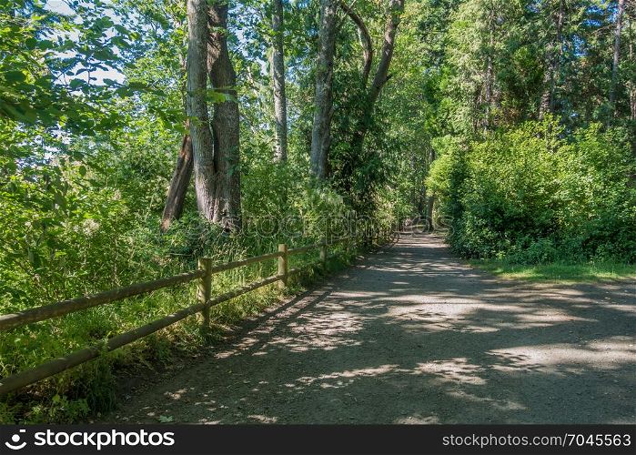A path in Lincoln Park in West Seattle, Washington.