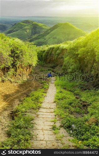 A path surrounded by vegetation with a hill in the background, A path that leads to a hill