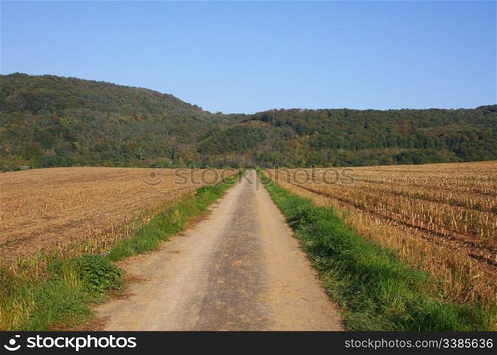 A path through harvested fields