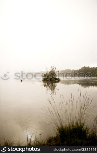 A peaceful lake with calm fog