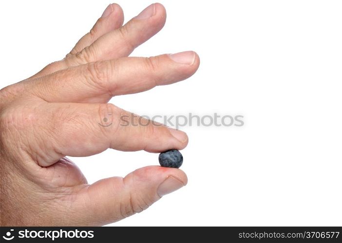 A person holding a delicious and fresh blueberry