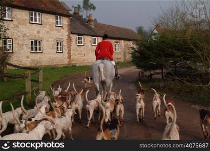 A person on a horse with hounds