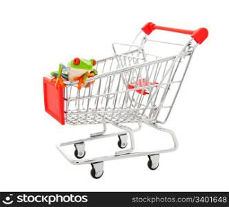 A pet store shopping cart with a red eyed tree frog sitting on it. Shot on white background.
