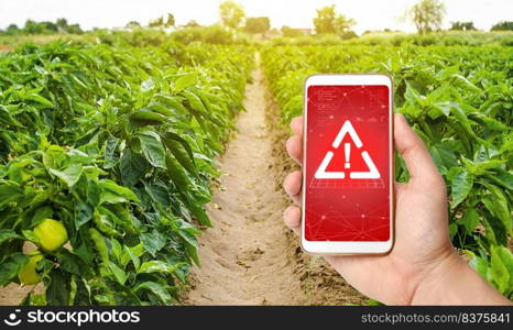 A phone and a warning sign on the background of pepper plantations. Farming and agriculture. Harmful pesticides. Environmental hazard threat. Radiation pollution, chemicals and microplastics.