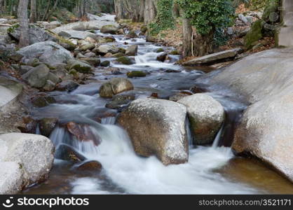 a photo of a water torrent in the forest