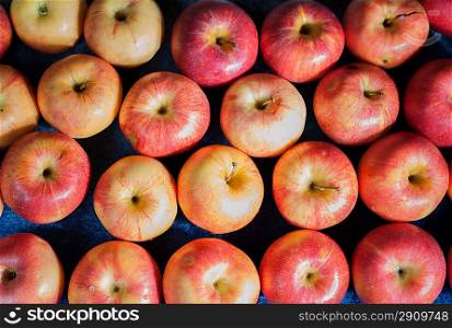 A picking apples fruit fresh organic