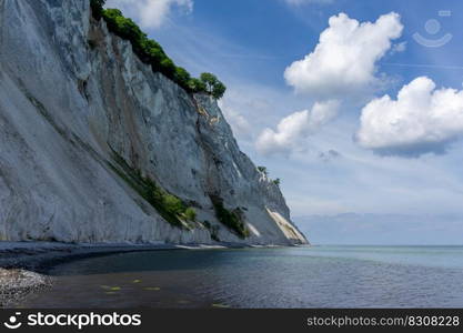 A picturesque ocean and coastline with calm clear water and steep white chalkstone cliffs under a blue sky with white cumulus clouds