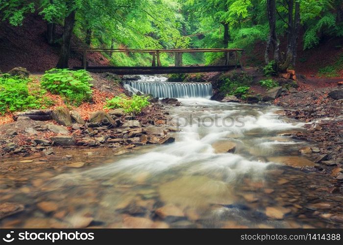 A picturesque wooden bridge across a stream in the middle of a deciduous green summer forest. Crossing a small river. Spring season.