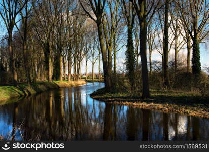 A picturesque woodland scene in the little village of Damme, in Belgium