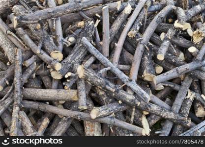 a pile of cut sticks and dried branches - backyard background