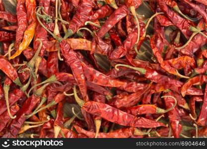 A pile of dried red Chili Peppers