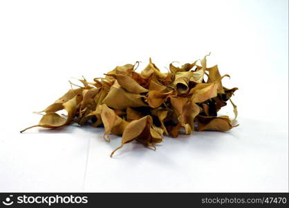 A pile of dry leaves on a white background