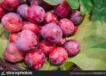 A pile of fresh organic ripe sweet red juicy plum fruit in the wicker basket.