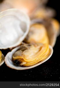 A pile of fresh vongole on the table. On a black background. High quality photo. A pile of fresh vongole on the table.