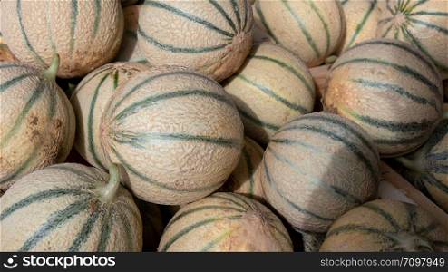 a pile of melons on the market