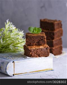 a pile of square pieces of chocolate brownie with a sprig of mint, close up. a pile of square pieces of chocolate brownie with a sprig of min