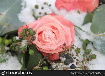 A Pink, frozen rose in the snow, decorated with berries