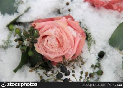 A Pink, frozen rose in the snow, decorated with berries