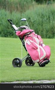A pink golfbag with clubs, left on the green