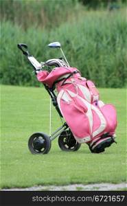A pink golfbag with clubs, left on the green