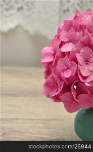A pink Hydrangea in a blue vase