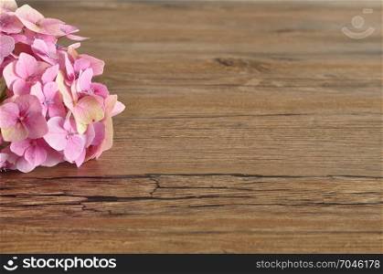 A pink Hydrangea isolated on a wooden background