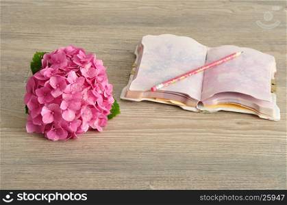 A pink Hydrangea with a notebook and pencil