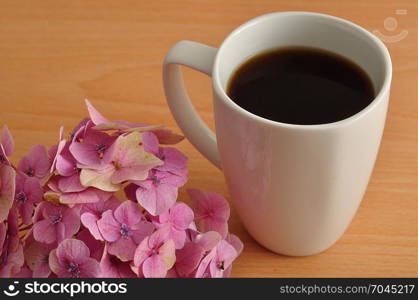 A pink Hydrangea with a white mug