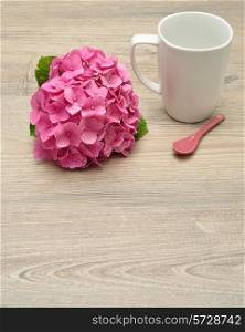 A pink Hydrangea with a white mug and a pink spoon