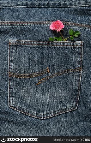 A pink rose sticking out of a back pocket of a denim jean