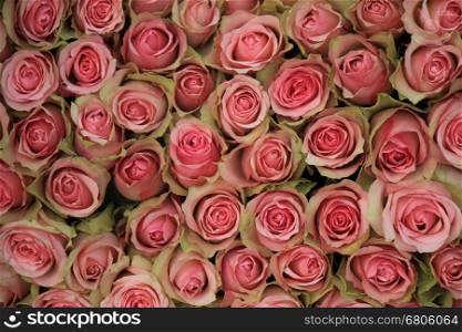 a pink roses backdrop at a wedding, floral decorations