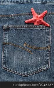 A pink star fish in a back pocket of a denim jeans pants.