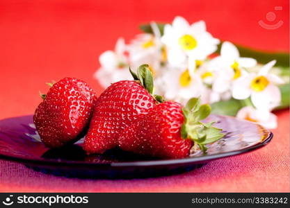 A plate of fresh strawberries with flower in the background