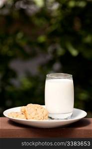 A plate of milk and cookies in an outdoor setting